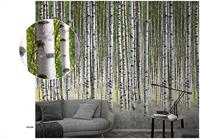 Noordwand Smart Art Easy Fotobehang berkenbos 47220 - thumbnail