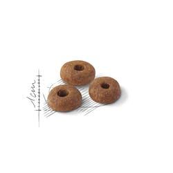 Royal Canin Regular Fit 32 kattenvoer 2 kg