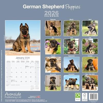 Duitse Herder Puppies Kalender 2026 Duitse Herder Puppies Kalender 2026