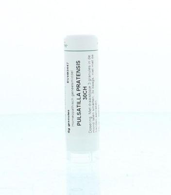 Pulsatilla pratensis 30CH 6 Gram