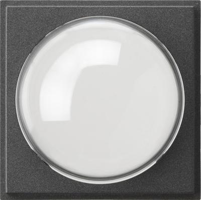 GIRA 141567 beveiligingscamera steunen & behuizingen Cover