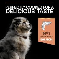 Pro Plan Medium Puppy Sensitive Skin met zalm hondenvoer 2 x 12 kg - thumbnail