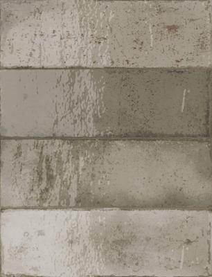 Wandtegel Estudio Amazonia 20x6,5cm stone glans