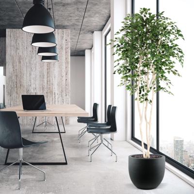 Kunst Berkenboom 250cm Deluxe