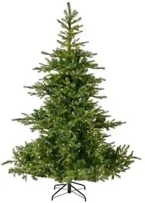 Everlands Grandis fir grote verlichte kunstkerstboom groen 240cm, 5200 lampjes