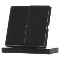 Busch-Jaeger 2CKA001751A2930 Serietoets Afdekking Future lineair Zwart-grijs, Antraciet 1 stuk(s)