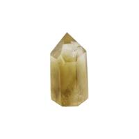 Citrien Puntje B (80-100 gram) - thumbnail