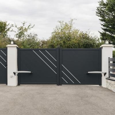 Somfy Exavia Star RTS 1240653 Draaideuraandrijving 250 kg