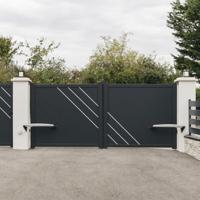 Somfy Exavia Star RTS 1240653 Draaideuraandrijving 250 kg - thumbnail