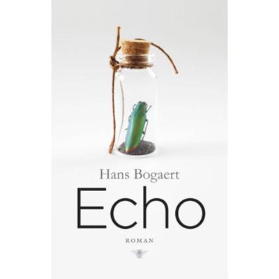 Echo (Paperback)