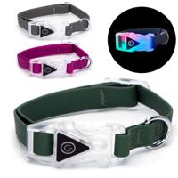 Nobleza Hondenhalsband met licht in gesp - Maat M - 50 cm - thumbnail