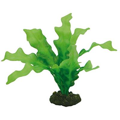 Plantasy set 6 decoratie planten Hobby Smulders - Smulders