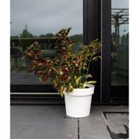 Ronde bloempot met waterreservoir - GARDEN ID - Glamour - Ø 50 - 47 L - H 43 cm - Wit - thumbnail