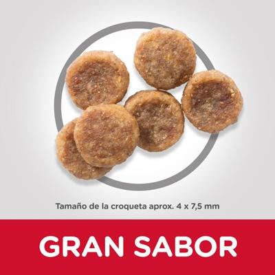 Hills Adulto mini pollo 6 kg