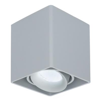 Vierkante LED Opbouwspot Esto - Kantelbaar - Dimbaar - 6500K daglicht wit - 4 Watt 345 Lumen- GU10 - Plafondspot - Voor binnen - Vervangbare afdekring - Grijs