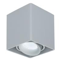 Vierkante LED Opbouwspot Esto - Kantelbaar - Dimbaar - 6500K daglicht wit - 4 Watt 345 Lumen- GU10 - Plafondspot - Voor binnen - Vervangbare afdekring - Grijs - thumbnail