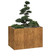 Plantenbak roestig 120x80x80 cm weervast staal - thumbnail