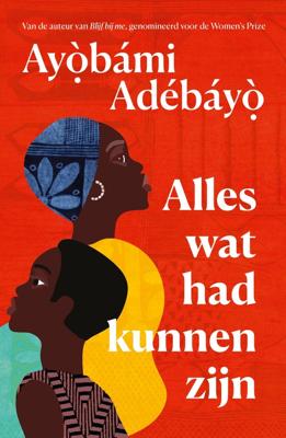 Alles wat had kunnen zijn - Ayobami Adebayo - ebook
