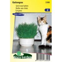 Kattengras zaden - thumbnail