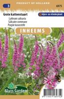 Inheemse Lythrum salicaria Grote Kattenstaart zaden - thumbnail