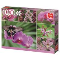 Premium Collection Puzzel - Holland Orchids (1000 Stukjes) - Puzzel;Puzzel (8710126183540) - thumbnail