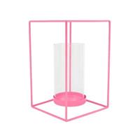 Housevitamin lantaarn roze 20 cm | 6 stuks - thumbnail