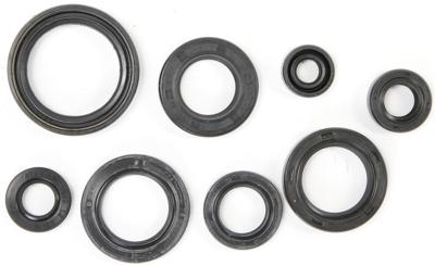 ATHENA Motor-keerring set motorshield ns 125 r,