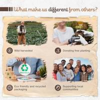 Sagrada Madre Natuurlijke Wierook Rue, Rozemarijn & Frankincense - thumbnail