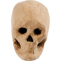https://www.cchobby.nl/skelet-masker-h-10-cm-1-stuk - thumbnail
