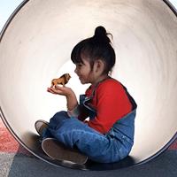 Schleich Speelfiguur Brullende Leeuw - thumbnail