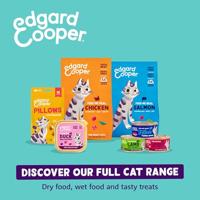 Rolls zalm 45g Malanico - Malanico - thumbnail