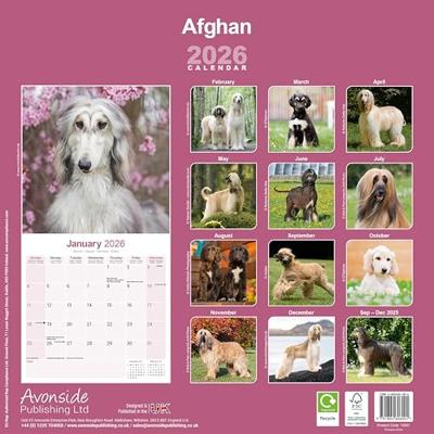 Afghan Calendar 2026 Square Dog Breed Wall Calendar - 16 Month