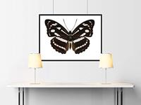 Goki houten druk en schud dier - thumbnail