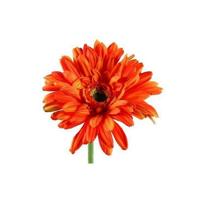 Decostar zijdebloem Gerbera Leanne 60 cm oranje - thumbnail