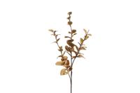 Countryfield eucalyptus cin 74 cm goud - thumbnail