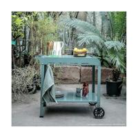 Plancha trolley - LIVOO - GS168V - Groen / Zwart - thumbnail