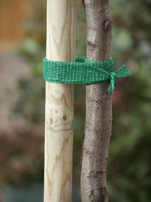 Nature boomband 2 meter