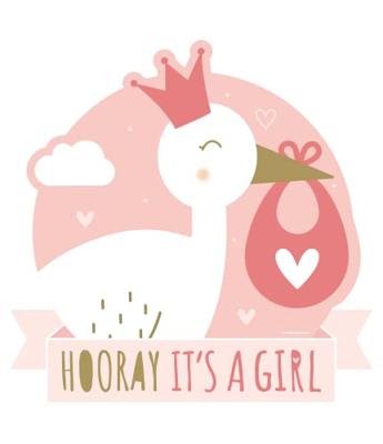Huldeschild - Newborn baby girl