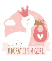 Huldeschild - Newborn baby girl - thumbnail