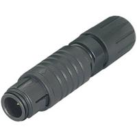 binder 99-400-05 Ronde connector Stekker, recht Totaal aantal polen: 5 Serie (ronde connectoren): 420 20 stuk(s) - thumbnail