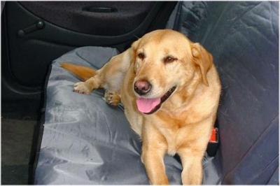 Beeztees Auto Hondendeken - 110x130 cm