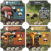 Undergrove - thumbnail