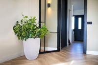 Capi nature groove nl elegant laag bloempot 34x46 cm zwart, goud - thumbnail