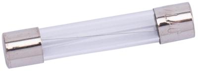 SPAHN glazen zekering glass fuses 10a 6x32 mm (10pcs)