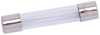 SPAHN glazen zekering glass fuses 10a 6x32 mm (10pcs) - thumbnail