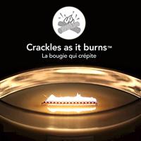 WoodWick ellipse candle chili pepper gelato - thumbnail