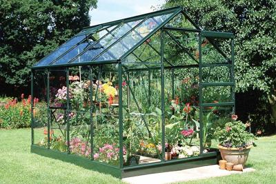 Tuinkas Popular 86 groen gecoat van veiligheidsglas 3mm - Royal well