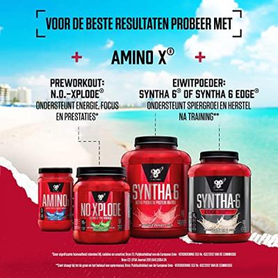 BSN Amino X Blue Raspberry (1015 g)