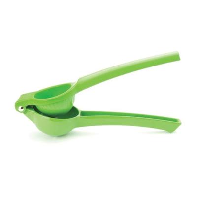 TAYLOR'S EYE WITNESS - Limoenpers Groen TAYLOR'S EYE WITNESS - Limoenpers Groen