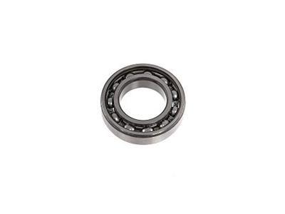 SKF Kogellager 6006